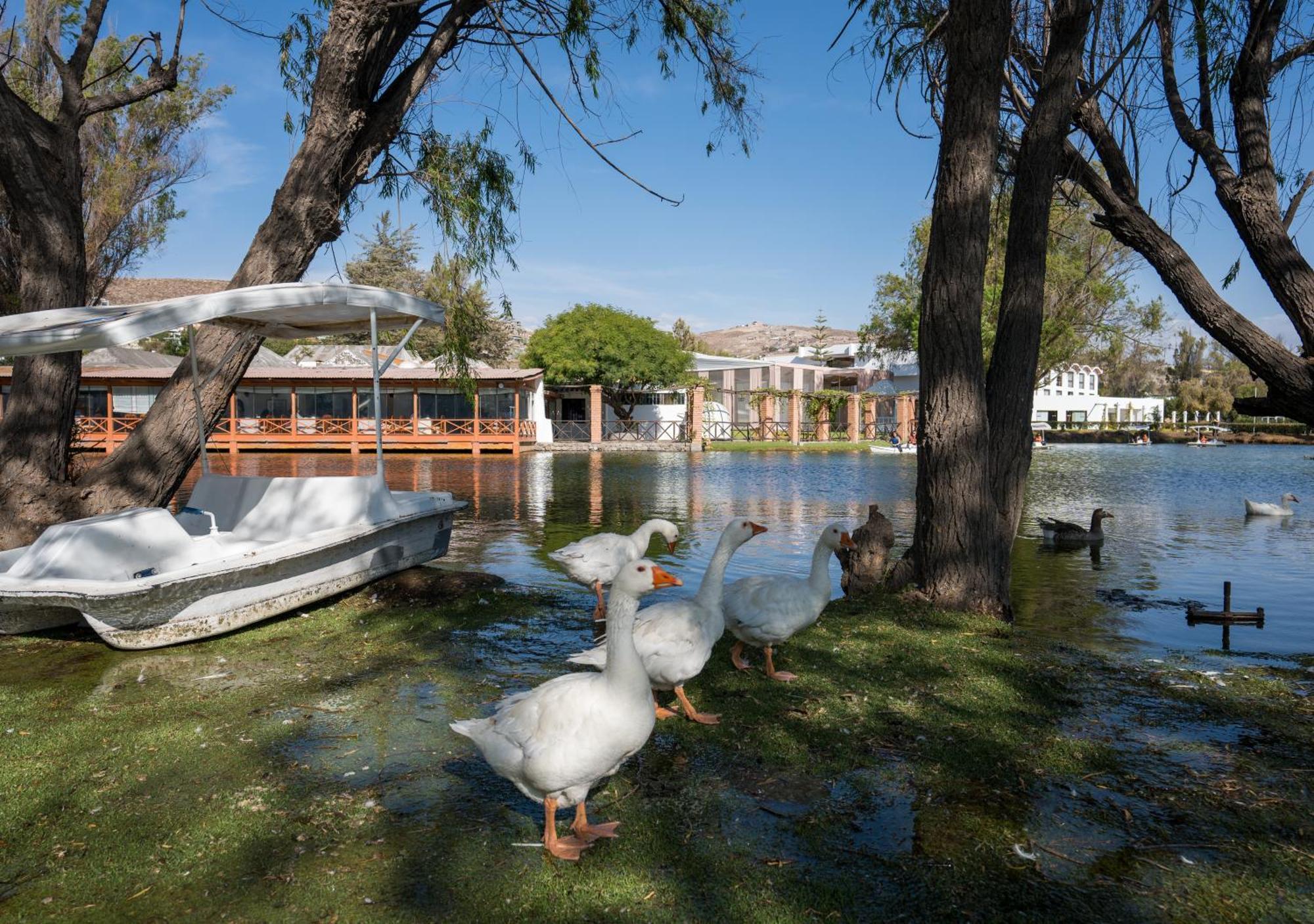 Bth Hotel Arequipa Lake Characato Dış mekan fotoğraf